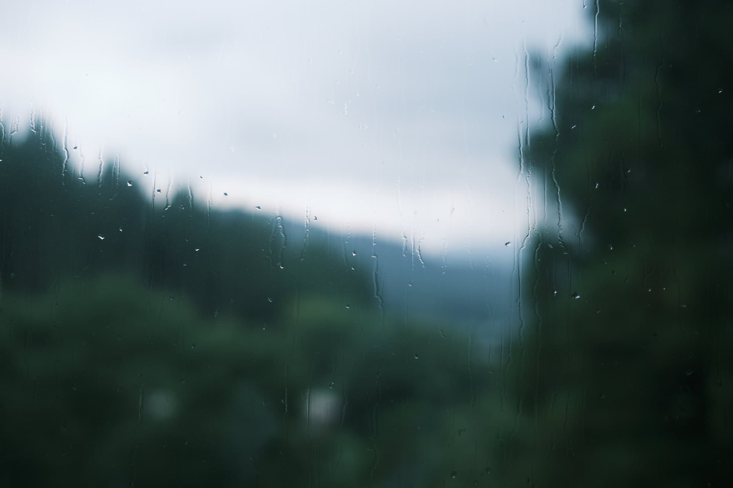 Rain on the studio window with the forested Fujino valley beyond