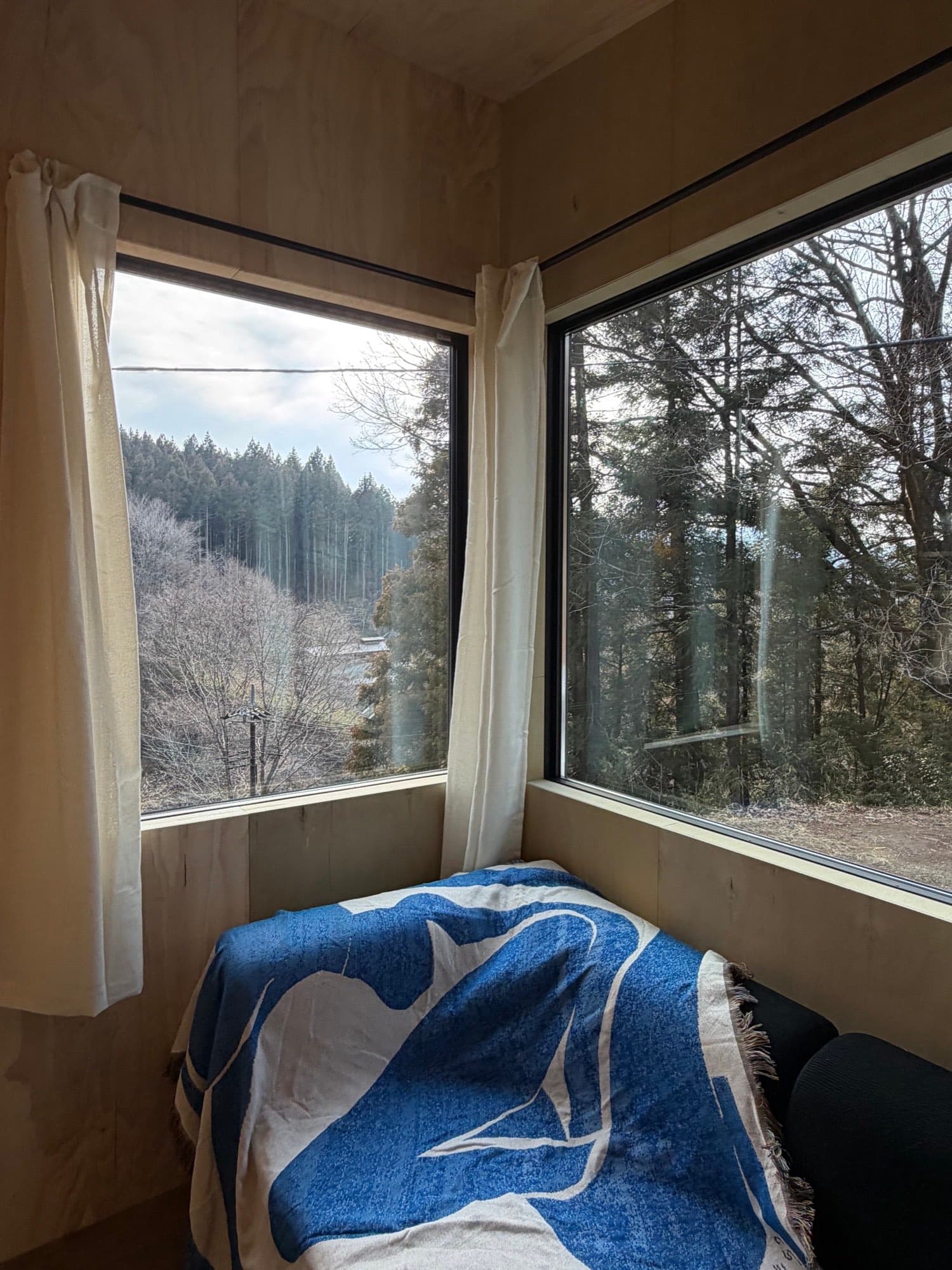 Sofa bed by corner windows looking out to the forest